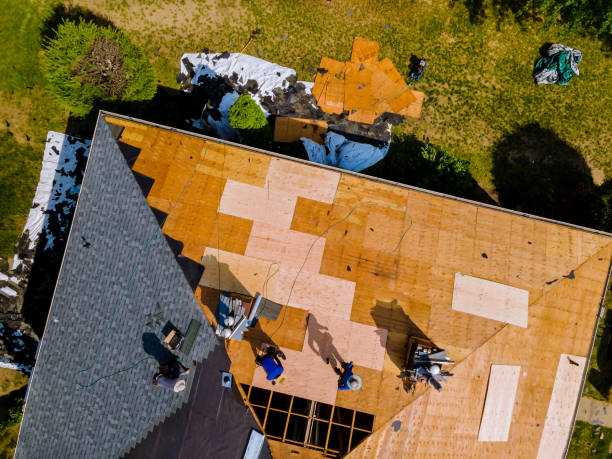 Best Storm Damage Roof Repair  in Katy, TX