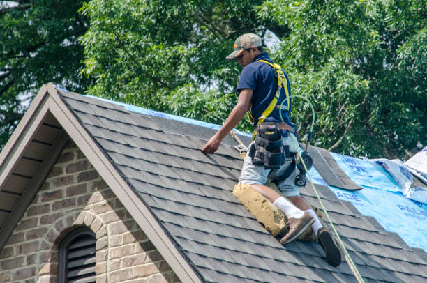 Best Shingle Roofing Installation  in Katy, TX